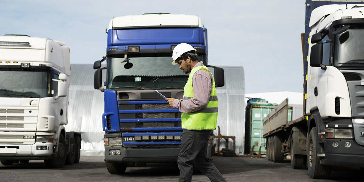 dot decal requirements