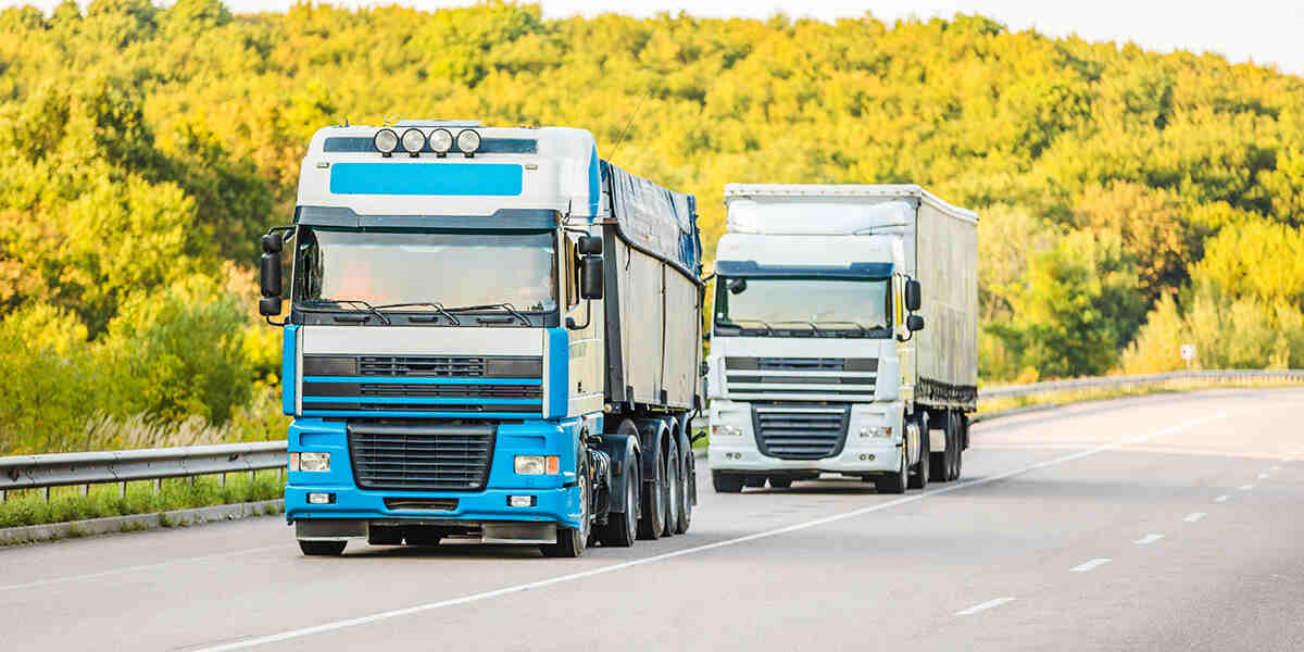 dot number intrastate