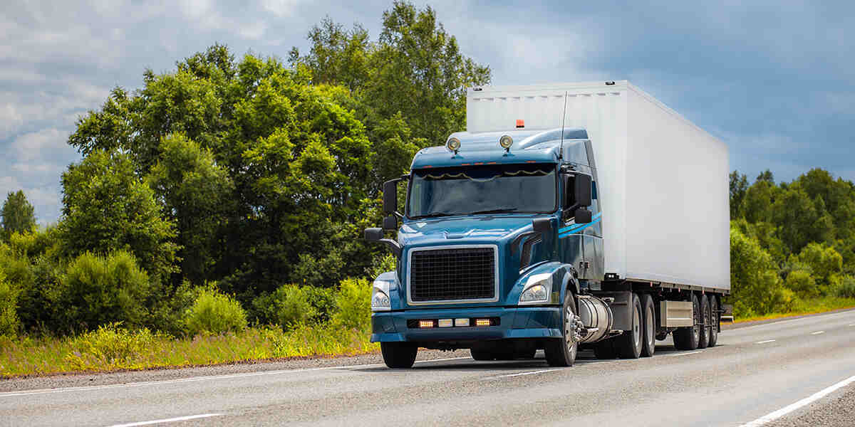 how much does it cost to get a dot number