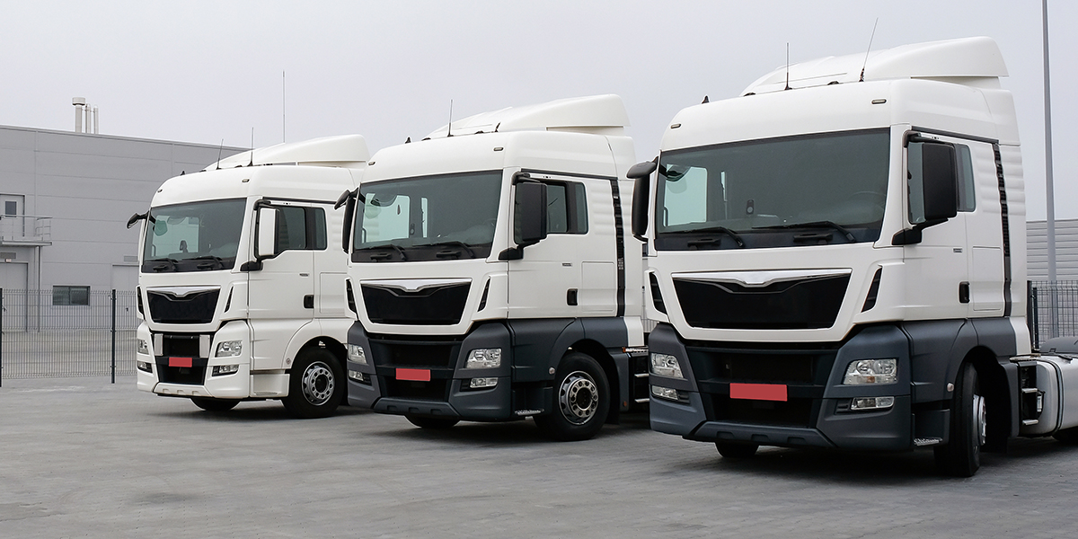 who is exempt from a dot number